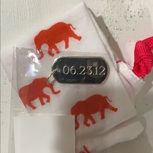 Stella & Dot 6/23/12 charm